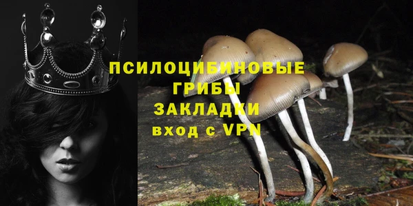 эйфоретик Балахна
