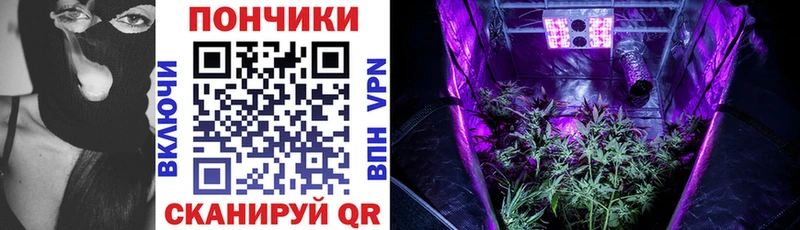 Бошки Шишки индика  mega ТОР  Зеленоградск 